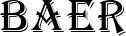 Логотип BaerGroup